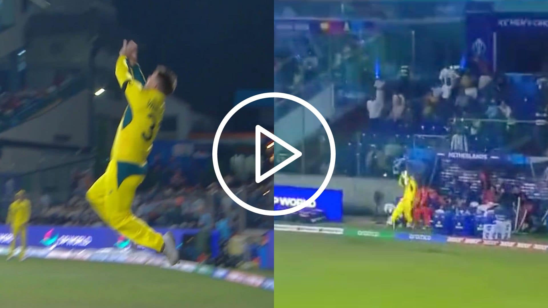 [Watch] David Warner’s Picture-Perfect Flying Catch Leaves Mitch Marsh & Australia Awed